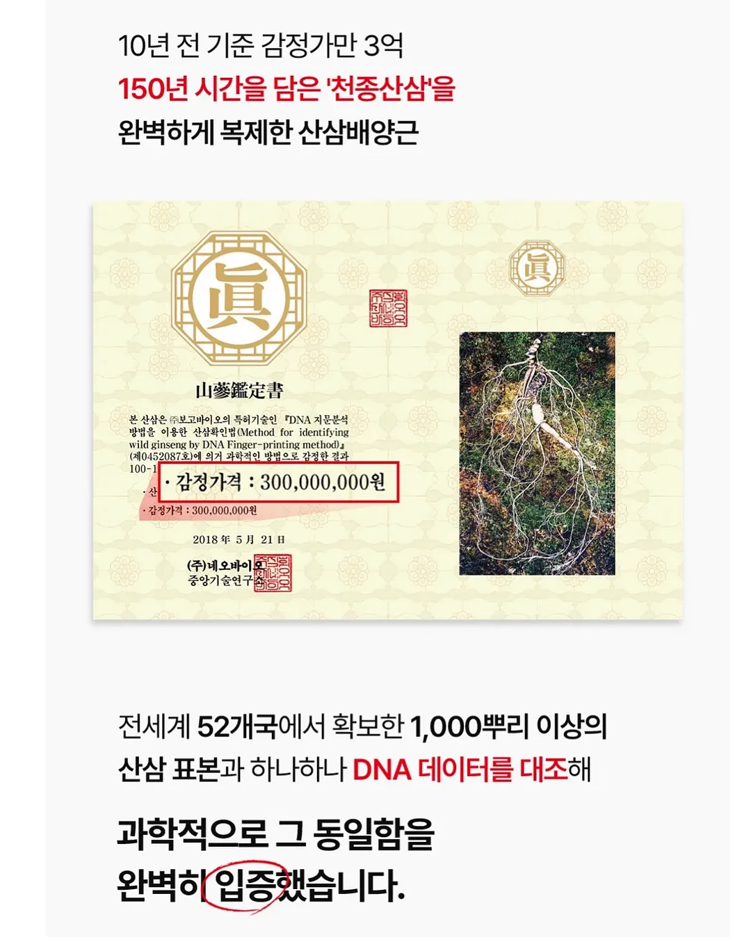 크노홑봉달가방 연블루 16
