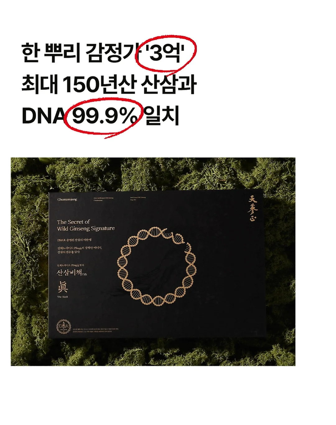 크노홑봉달가방 연블루 3