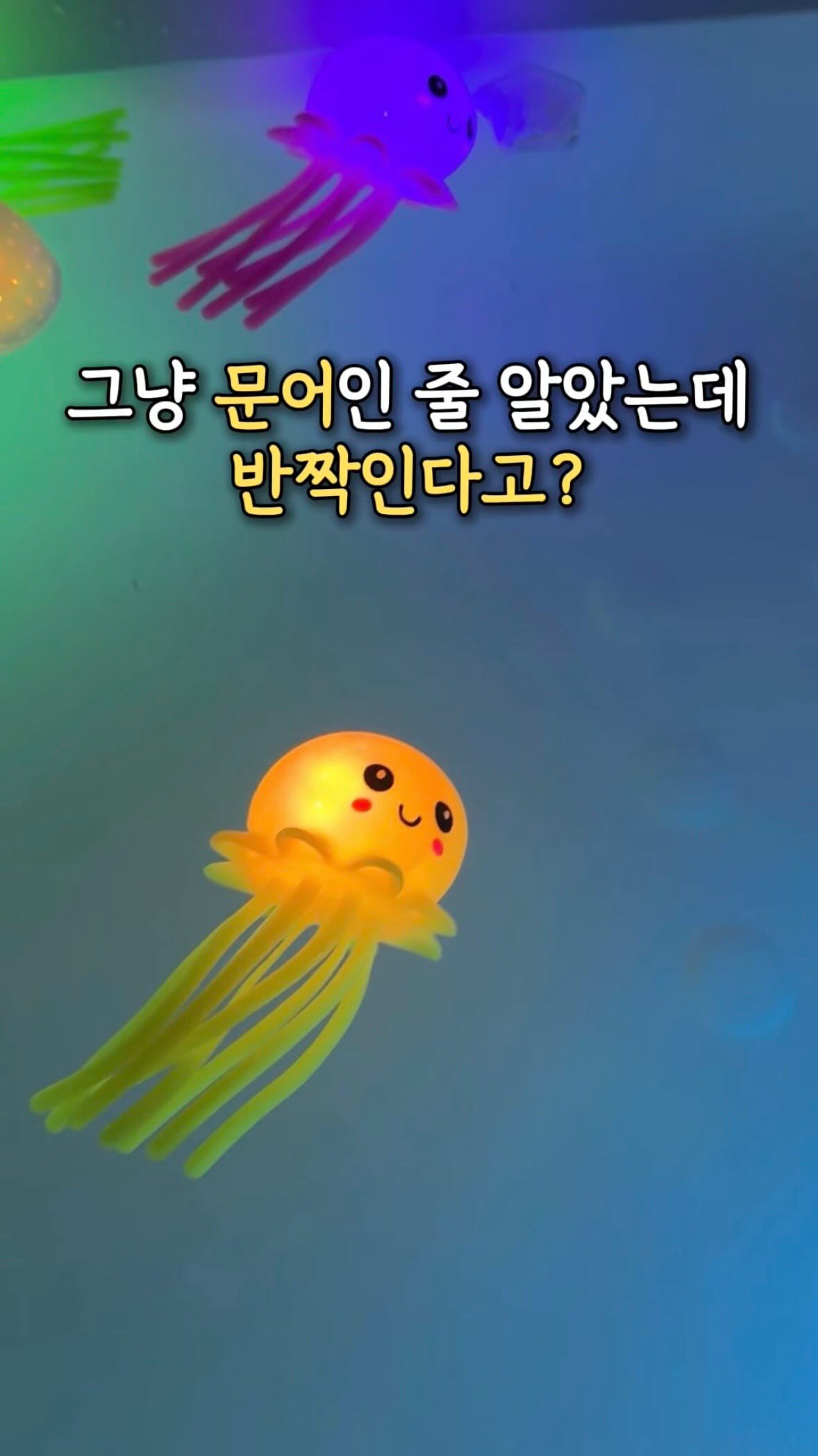 래쉬자켓 비치팬츠 세트