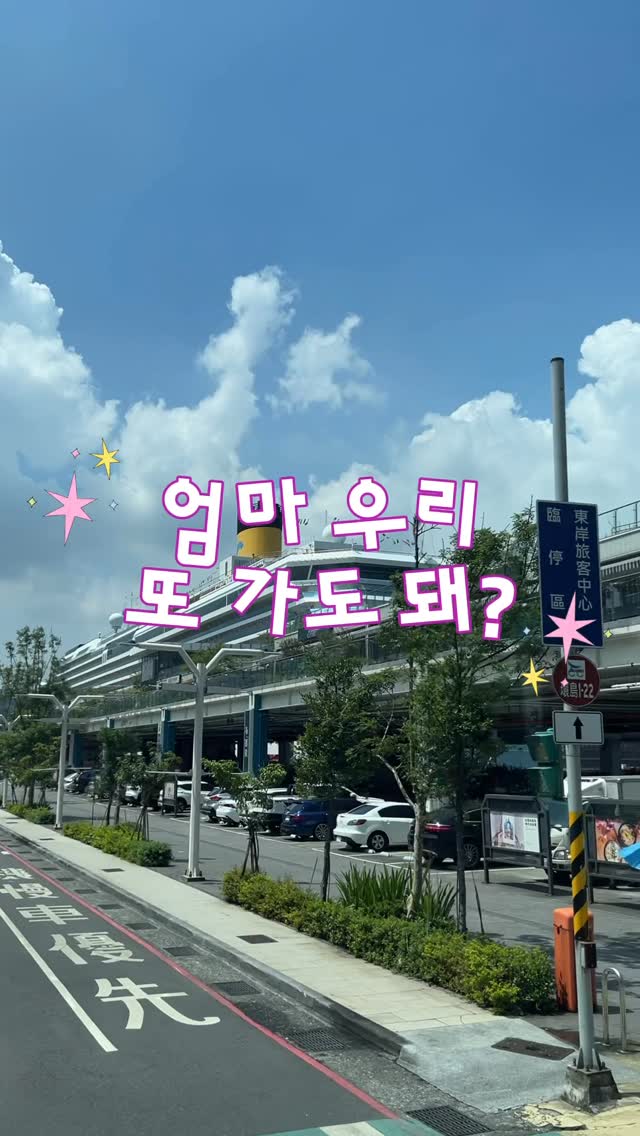 실크 광택 퍼프 블라우스