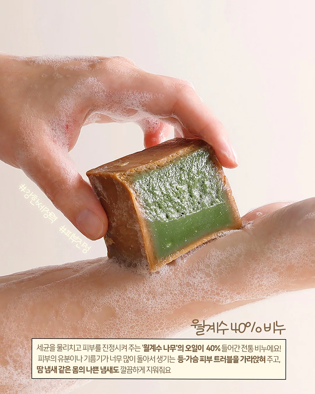반려식물 3