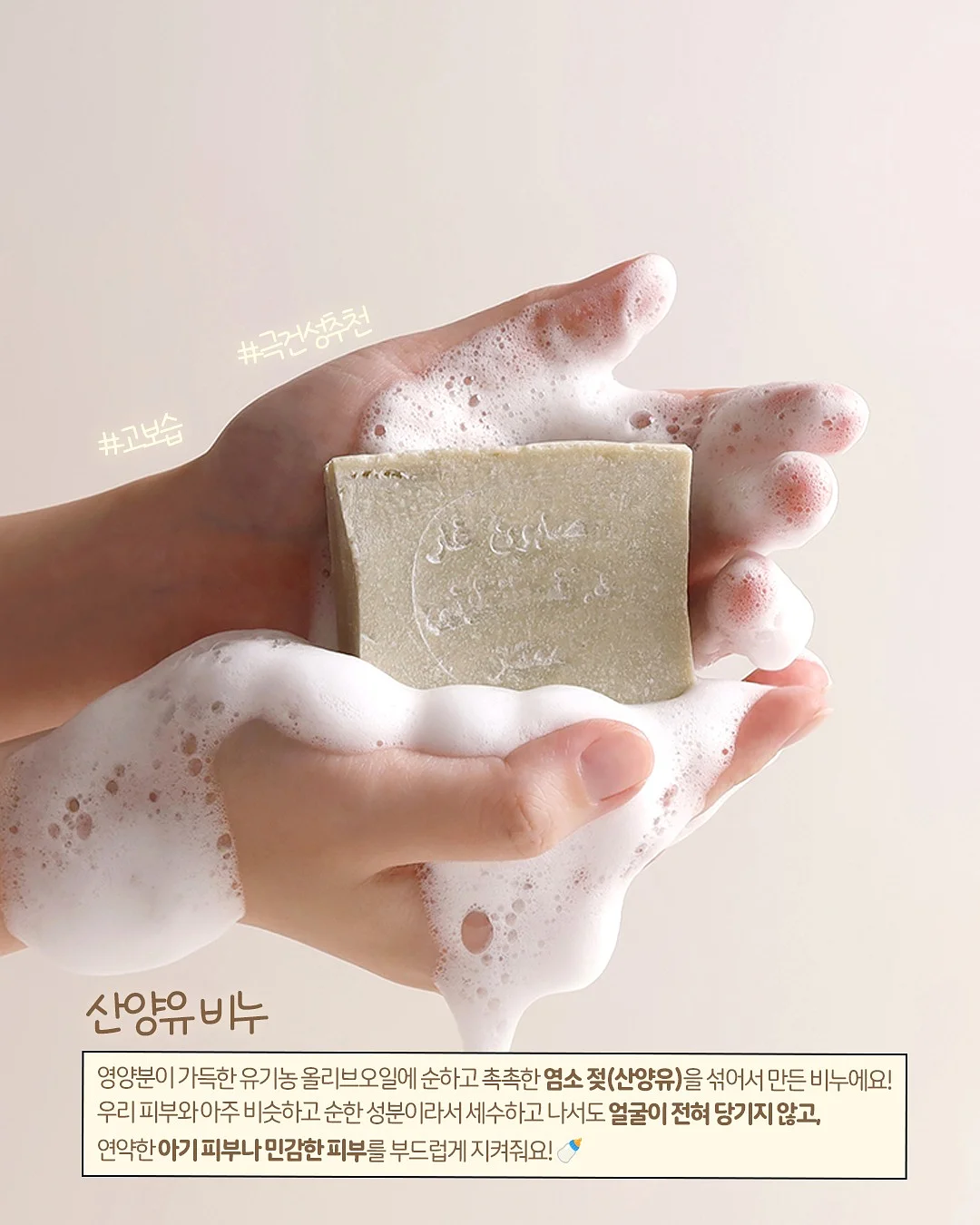 반려식물 4