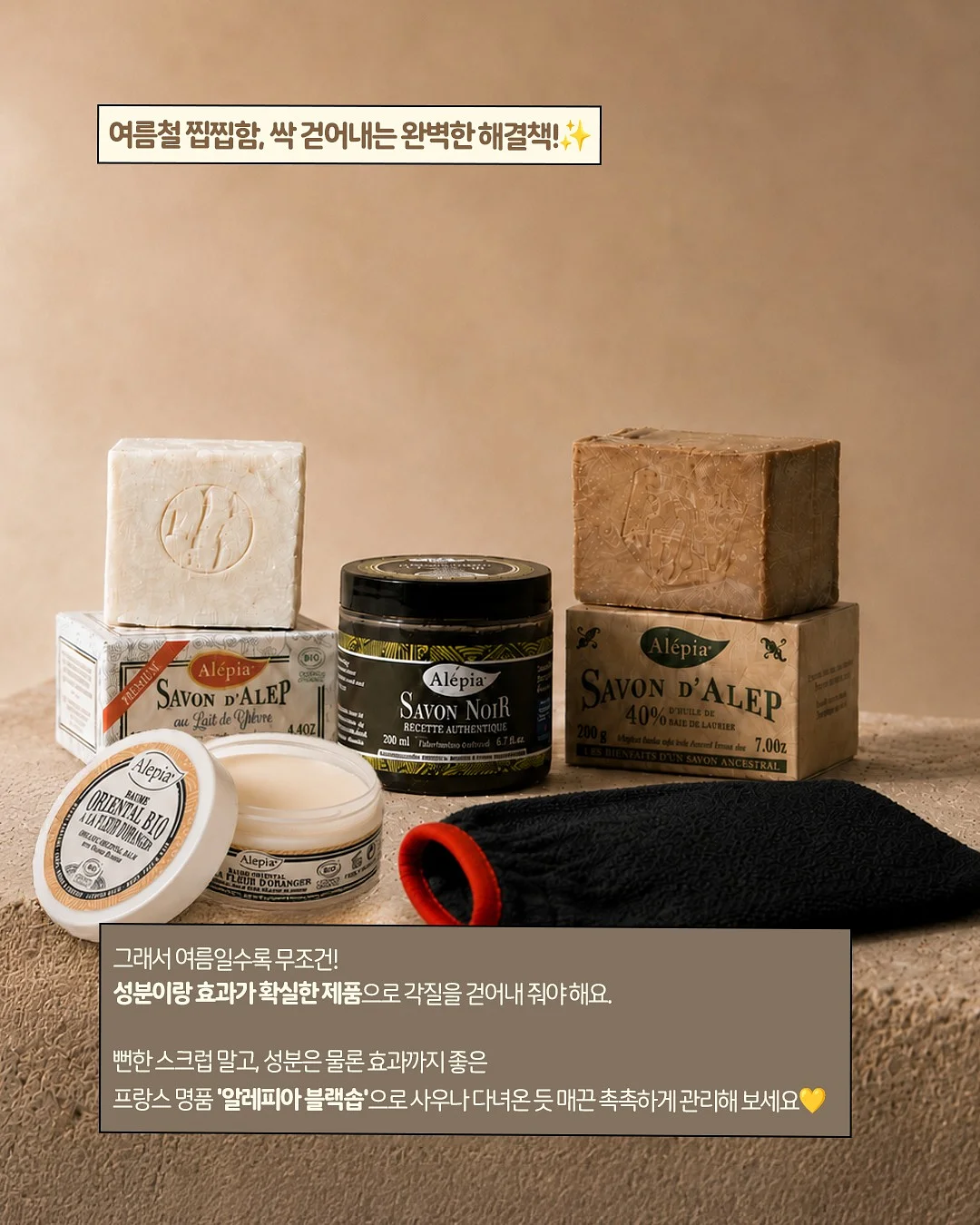 반려식물 6