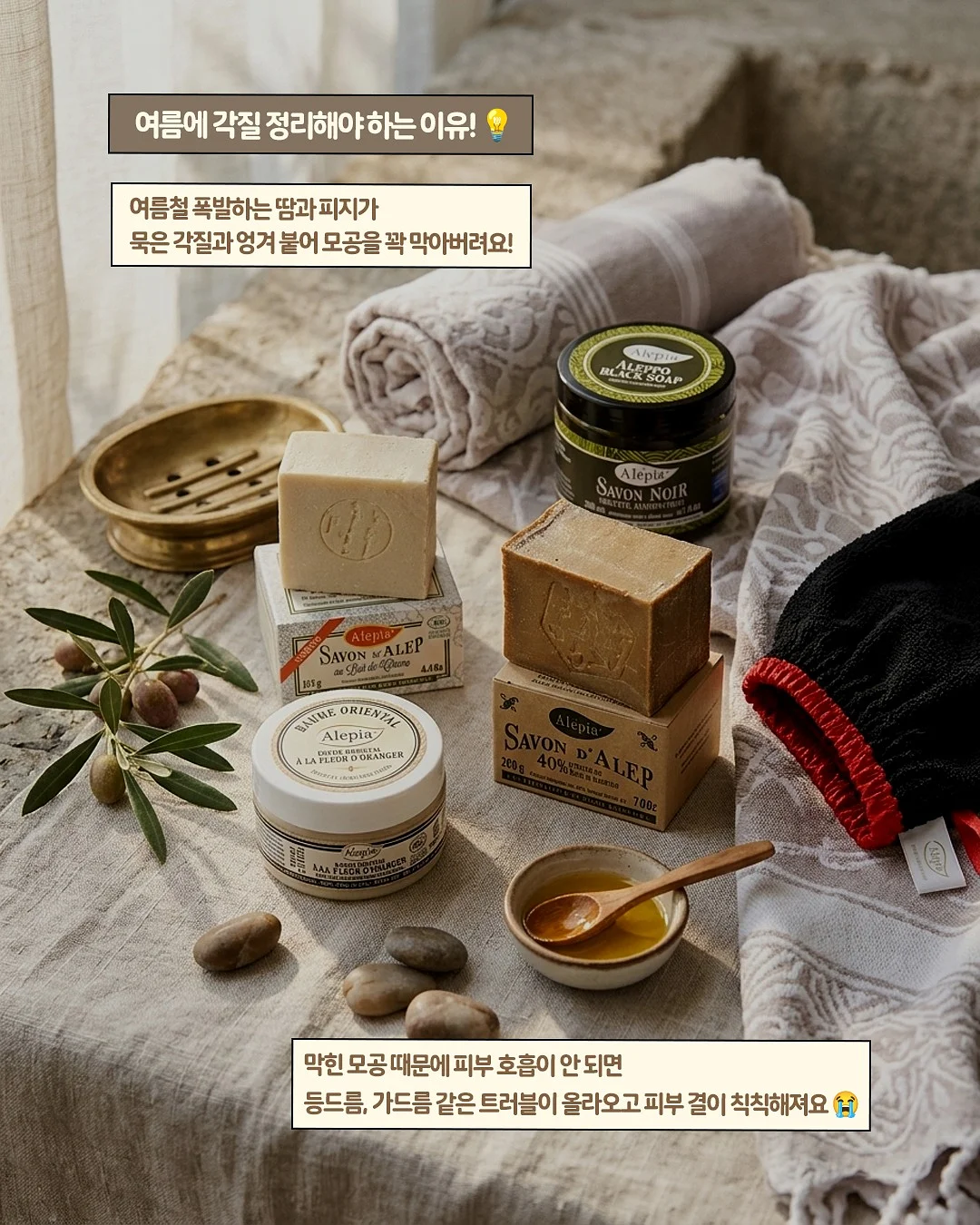 반려식물 7