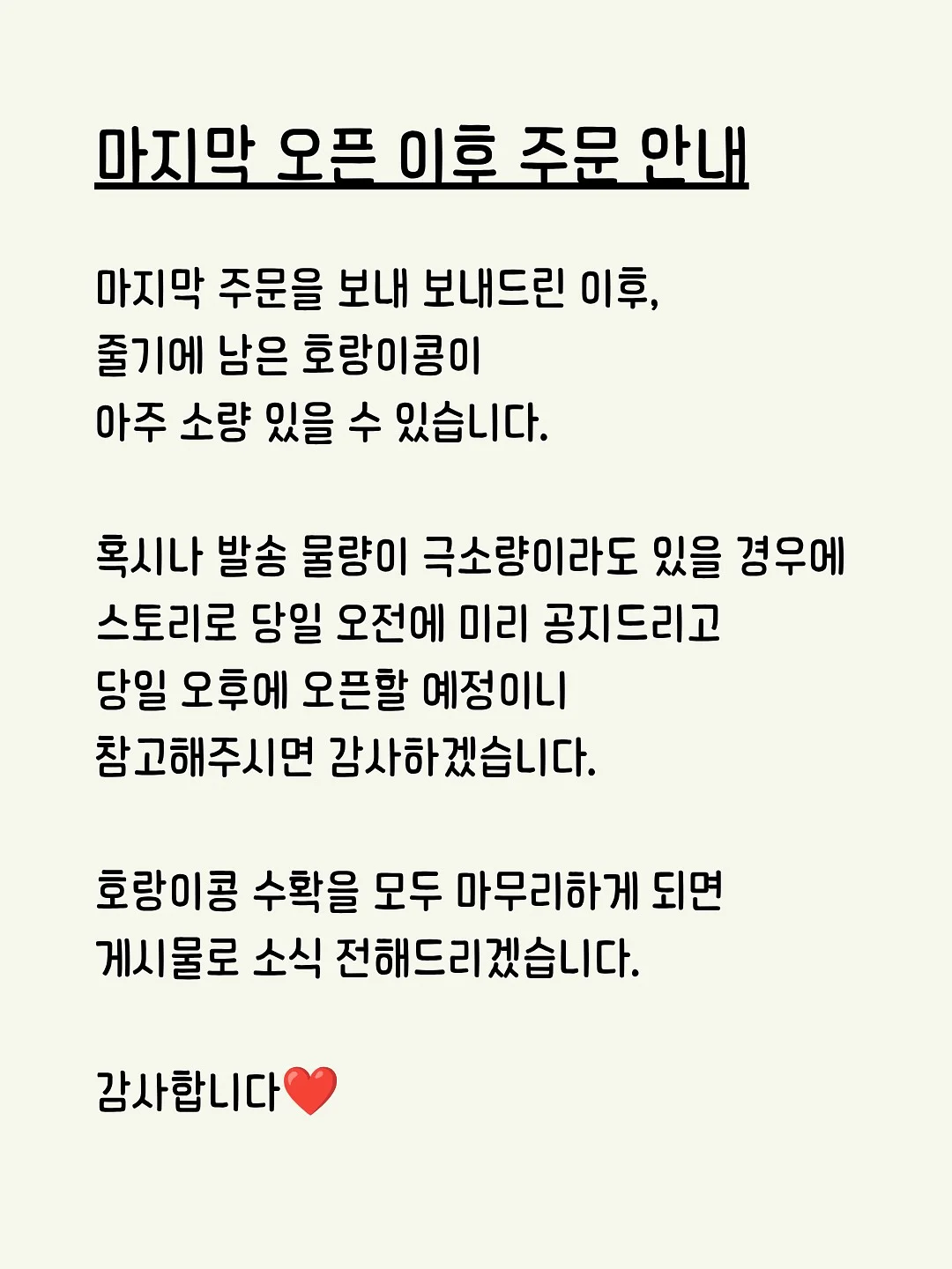 차즈마켓 젤리곰 강아지방석 4