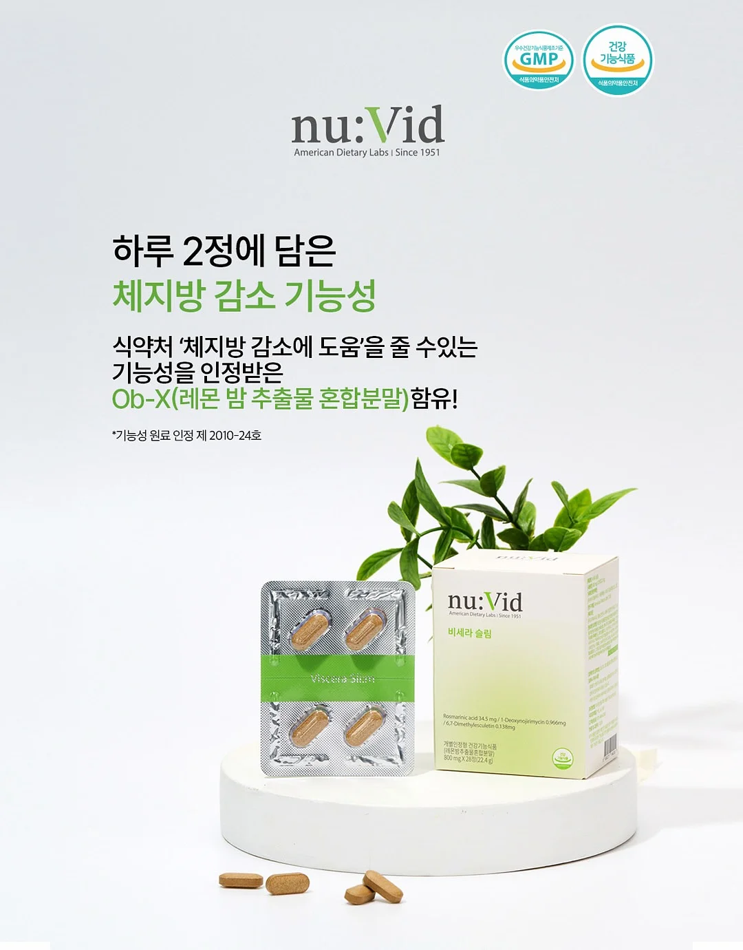 유리 화병 6