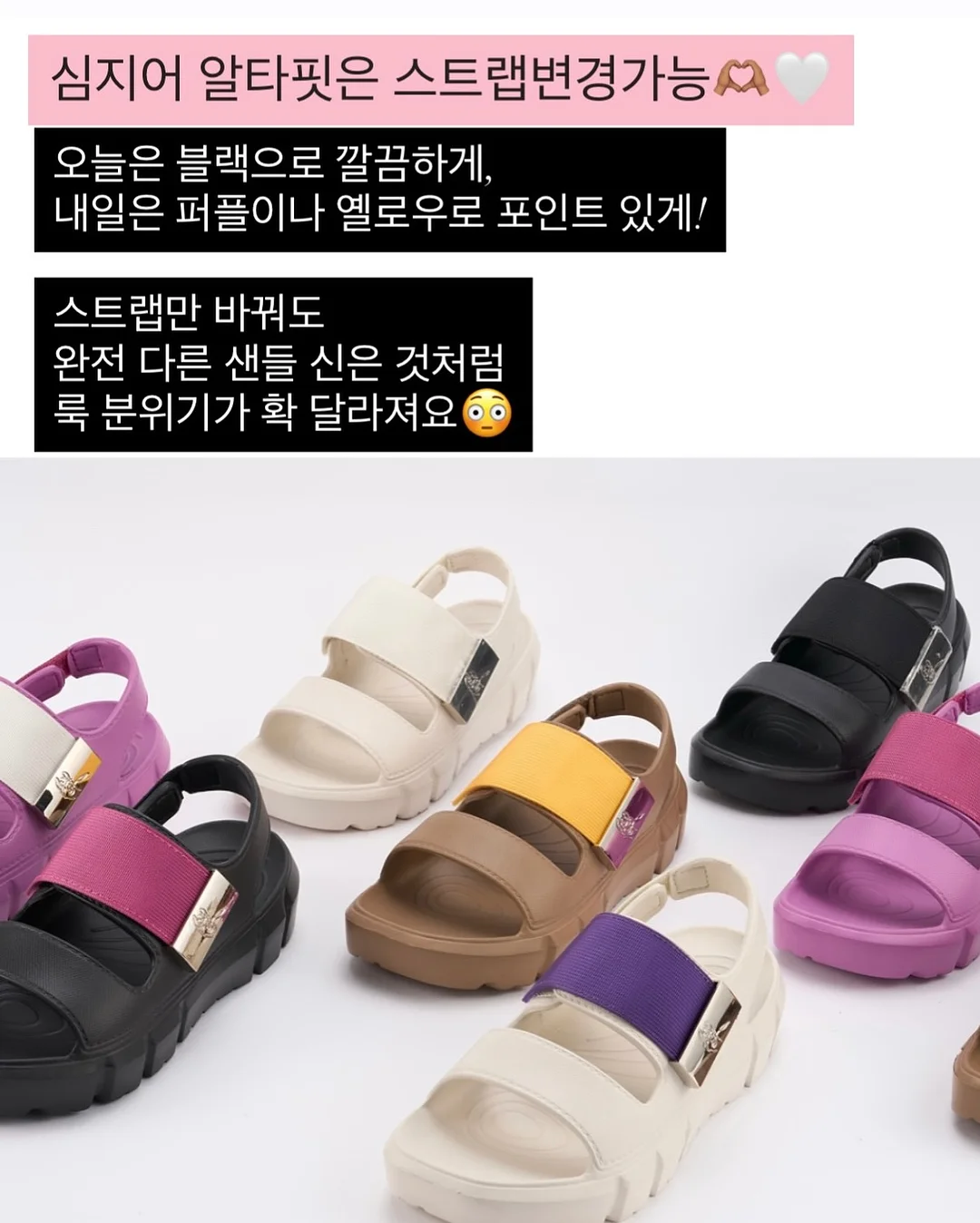 양파 보관법 9