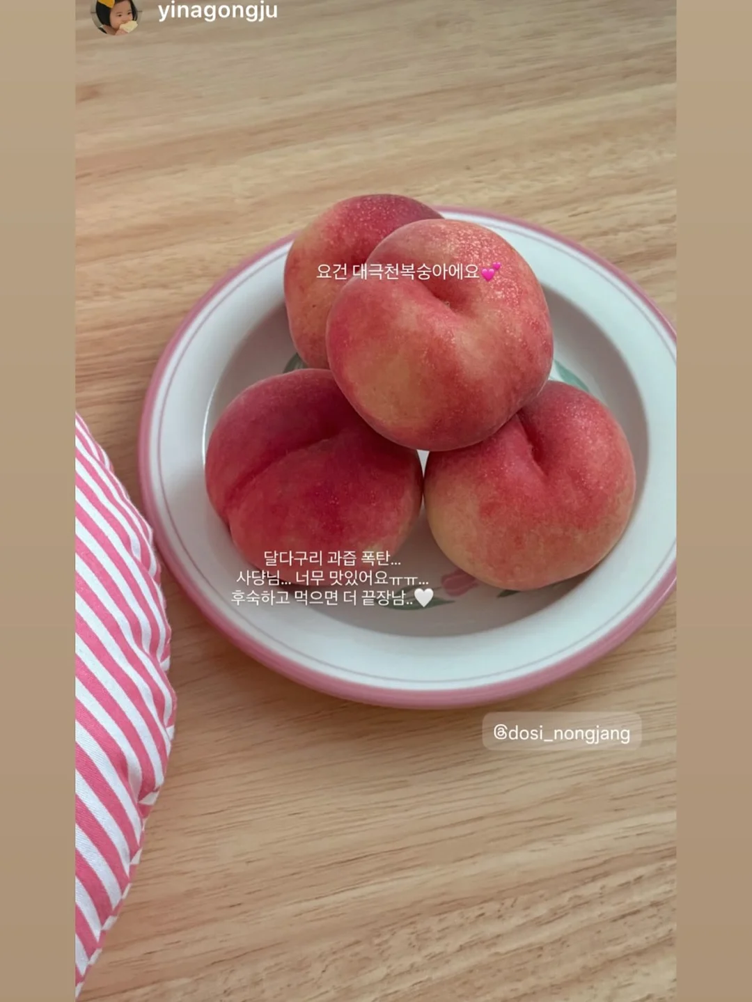 강소라의 주방 기름·찌든때 필승조합 2