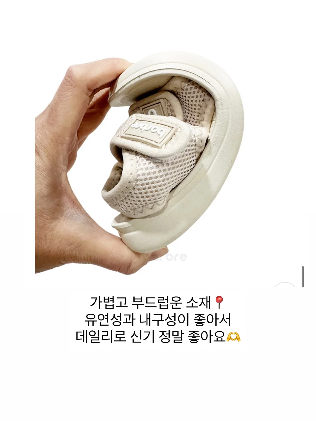 활꽃새우 9