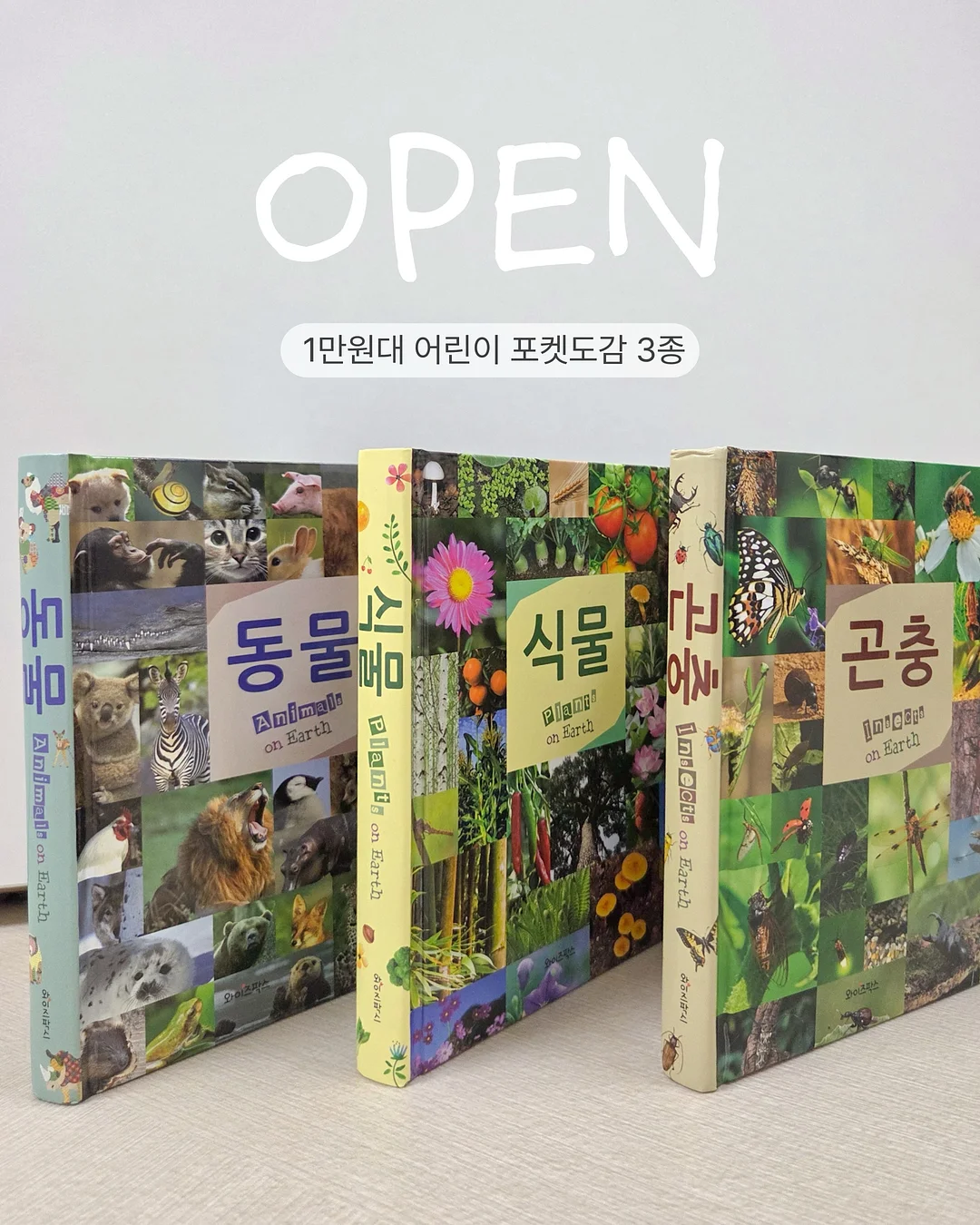 자동차 키 모양 차키 1