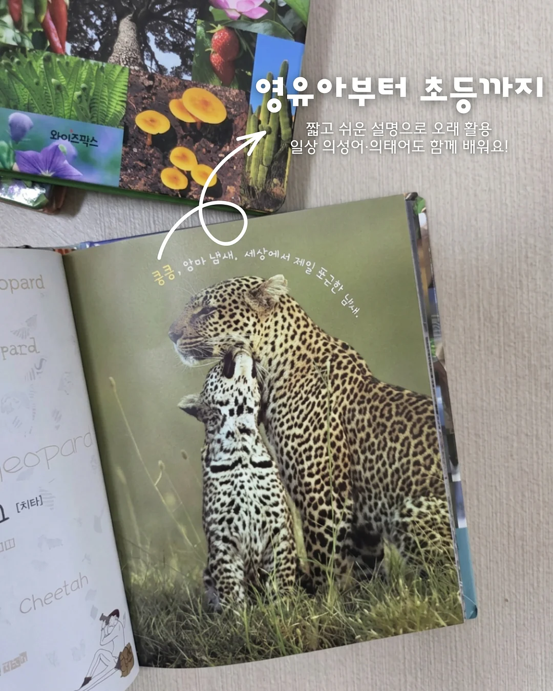 자동차 키 모양 차키 5