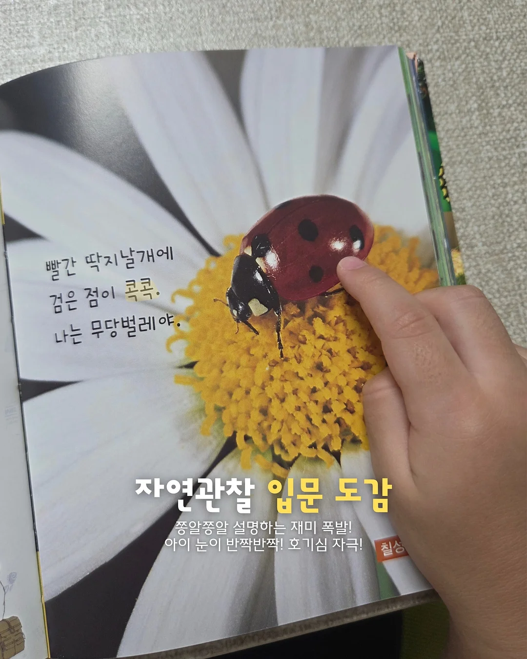자동차 키 모양 차키 7