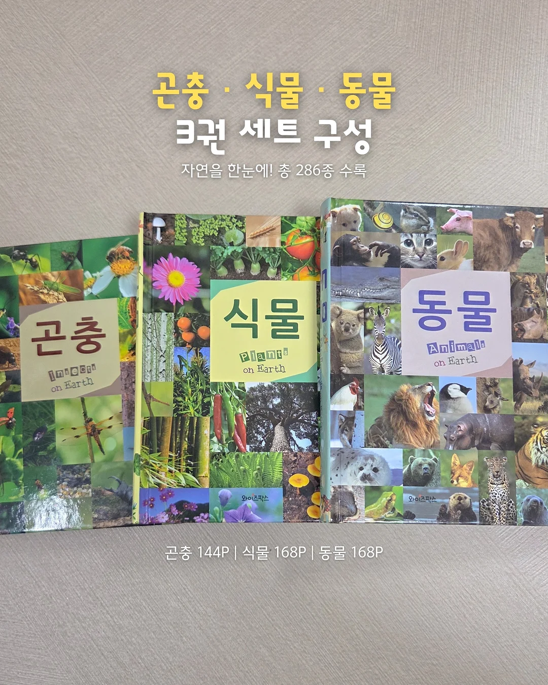 자동차 키 모양 차키 10
