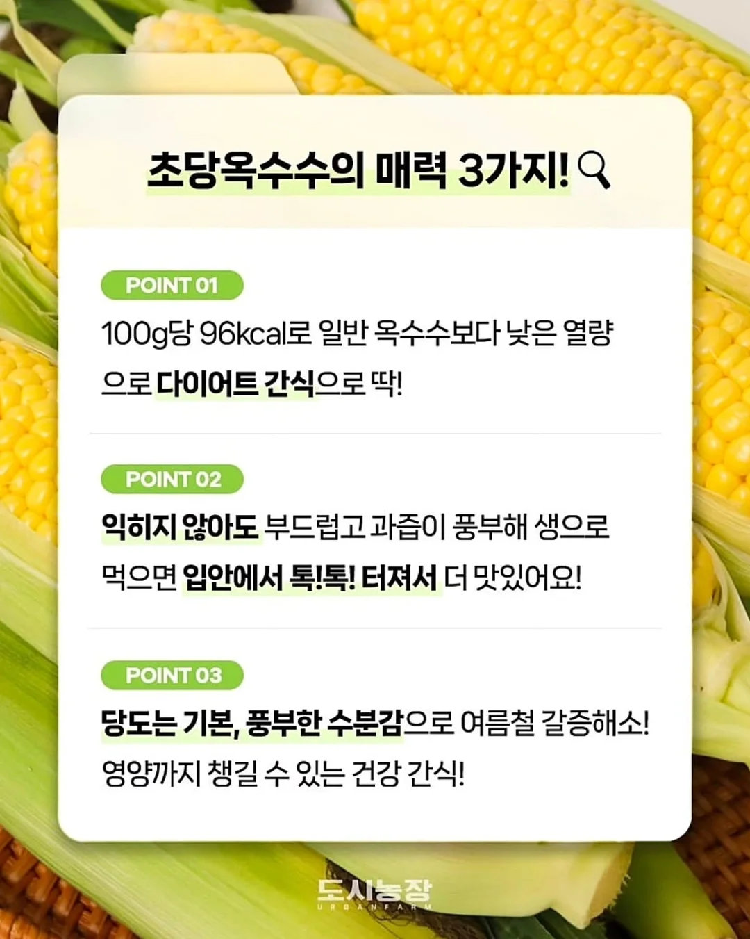 메르베 플레이 셋업 11