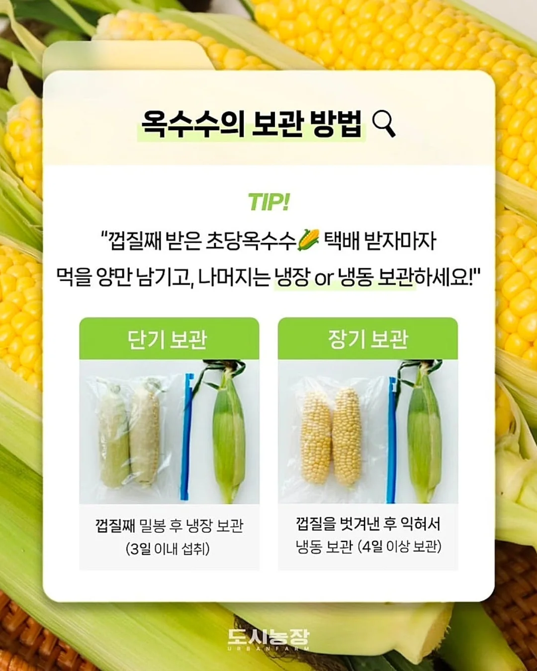 메르베 플레이 셋업 12