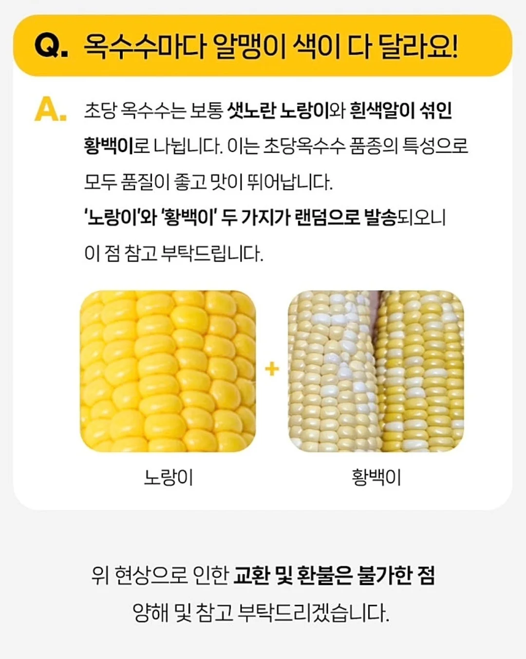 메르베 플레이 셋업 13