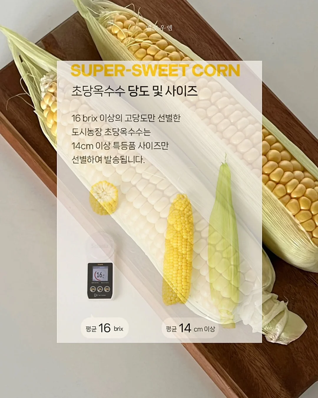 메르베 플레이 셋업 9