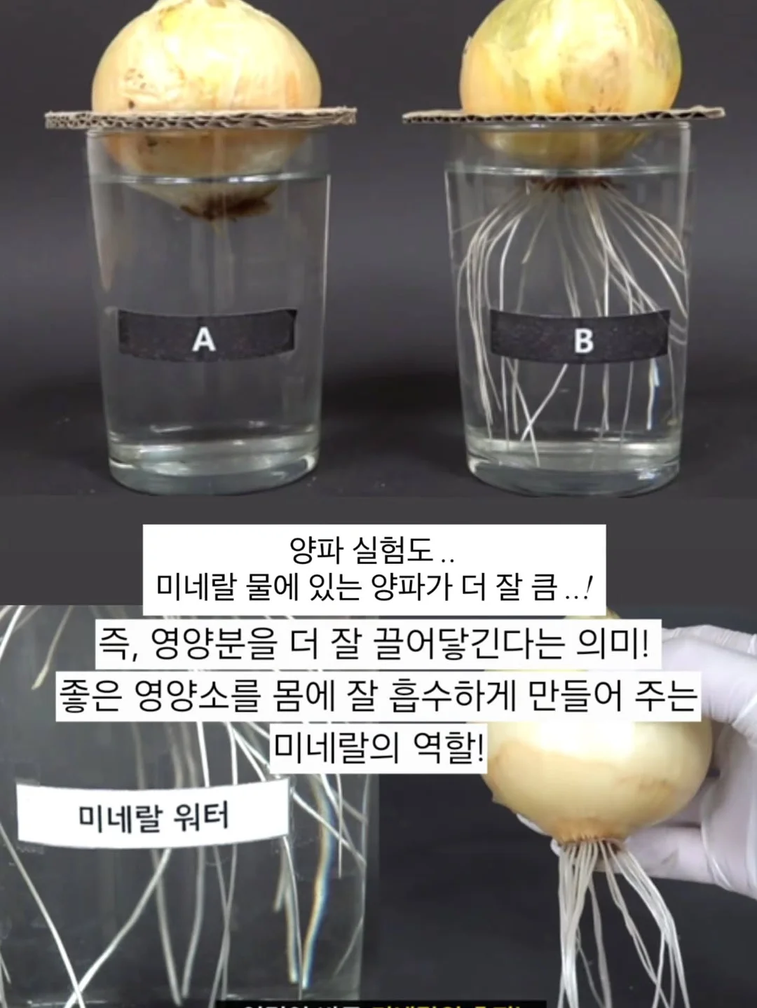 마레점프슈트 2