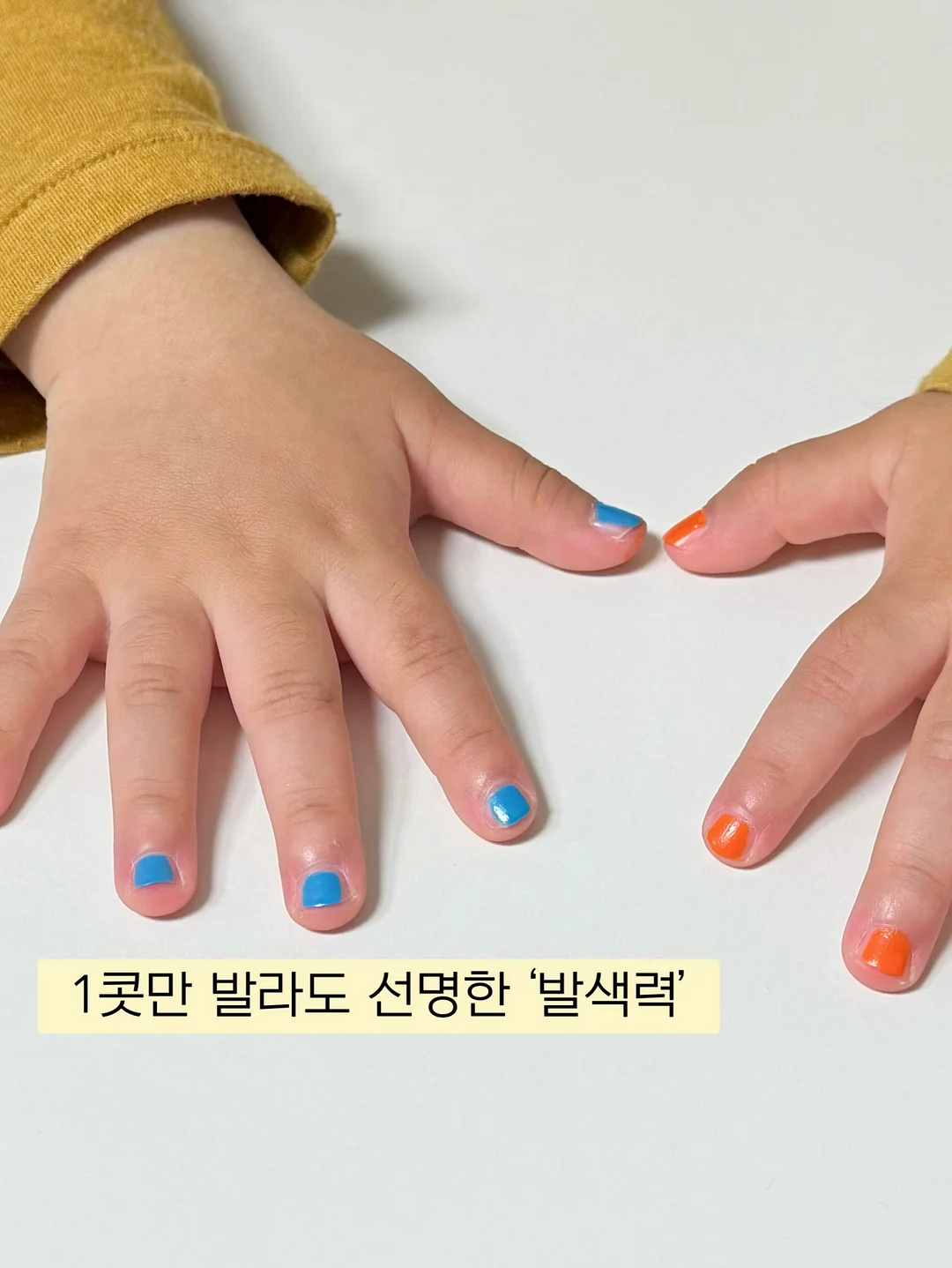 모달 100% 매트리스 커버 10