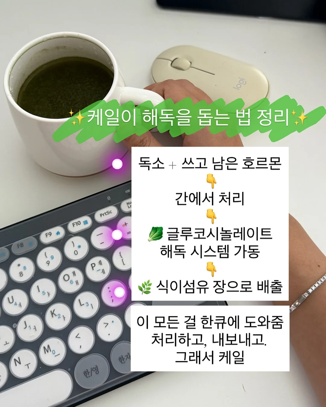 구디백 4