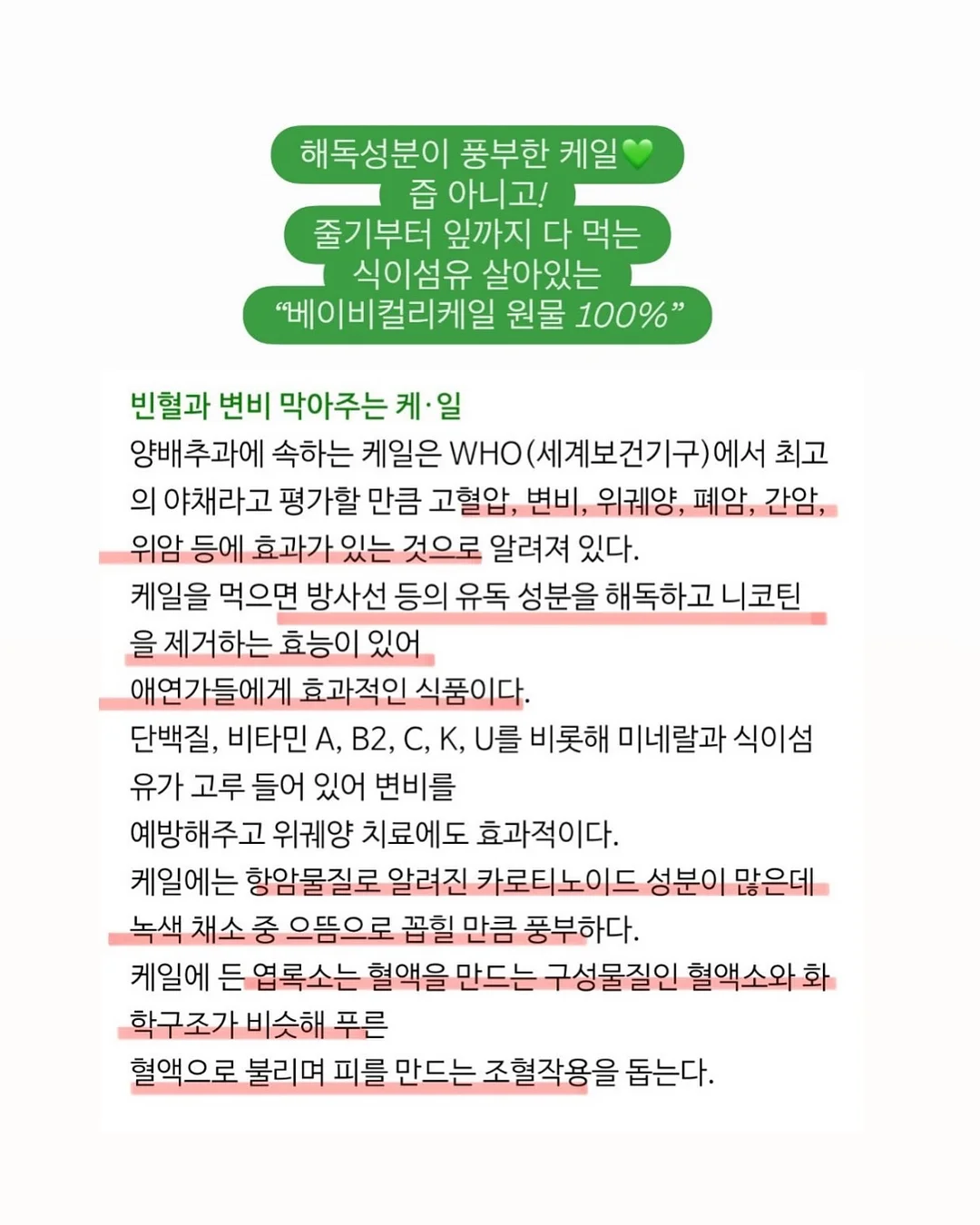 구디백 5