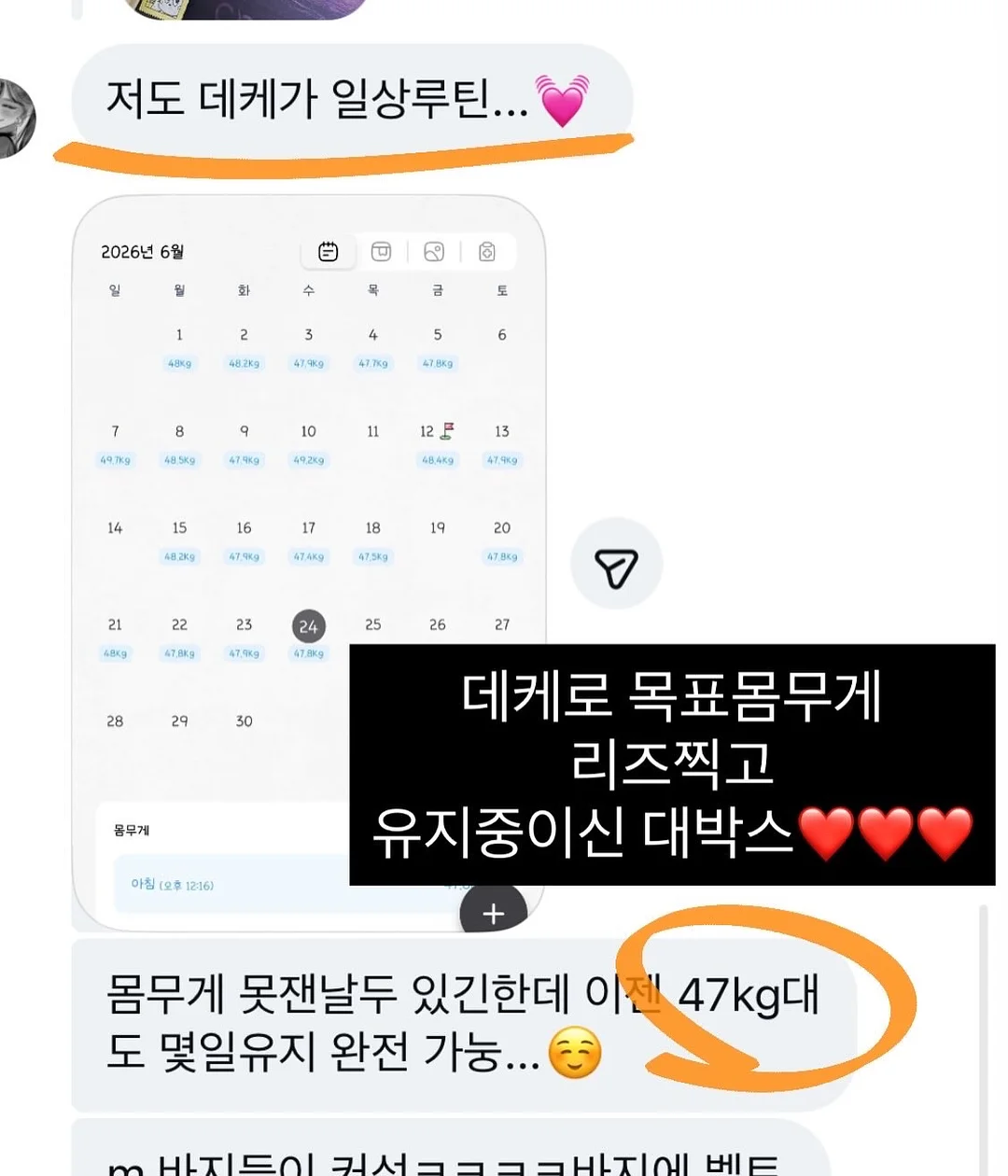 실크자이언트플라워 디자이너 1급 과정 5