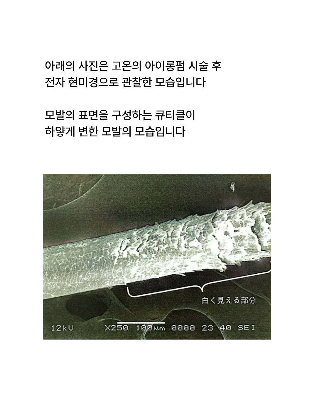 집값 방어 100% 살기 좋은 동네 3대 절대 법칙 VIP 리포트 2
