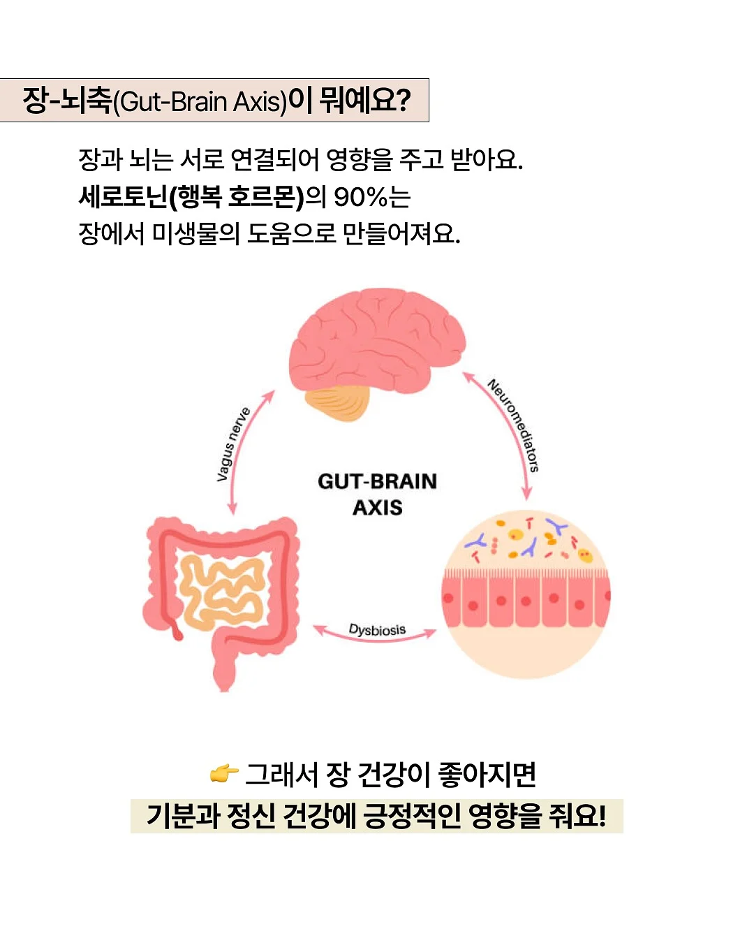 밸런스버튼 예약 6