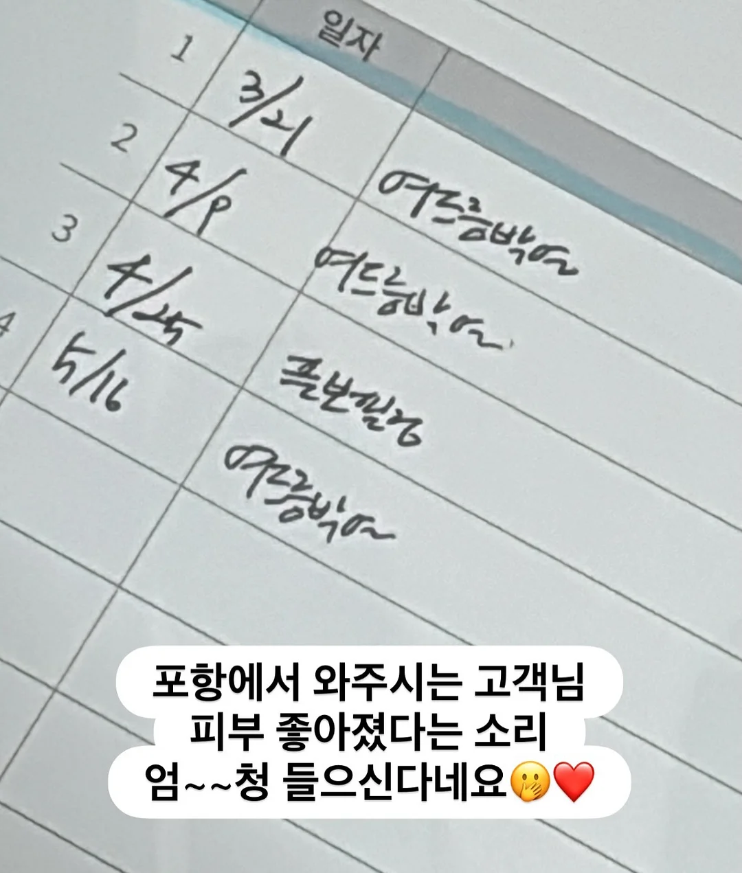 완숙 찰 토마토 5