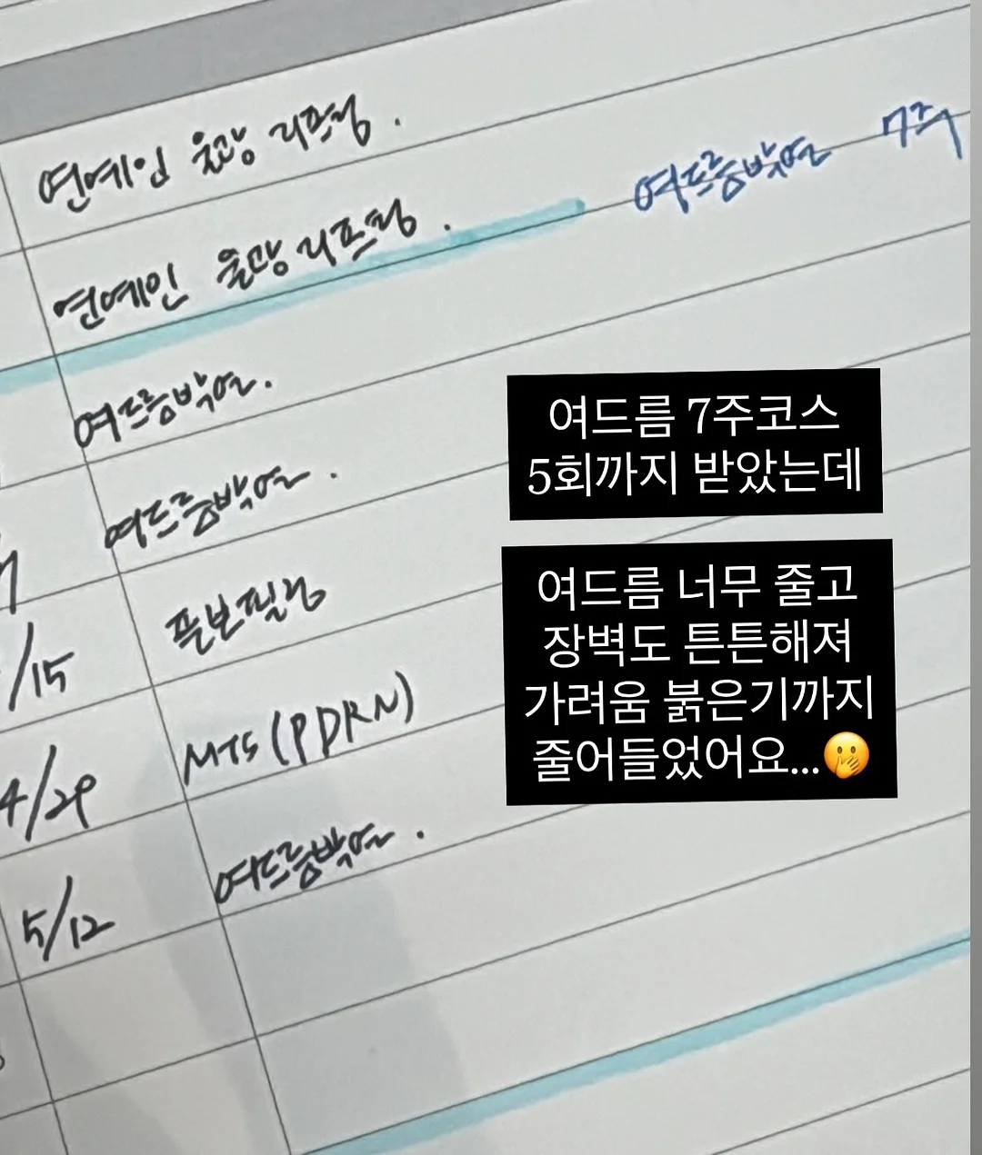 완숙 찰 토마토 6