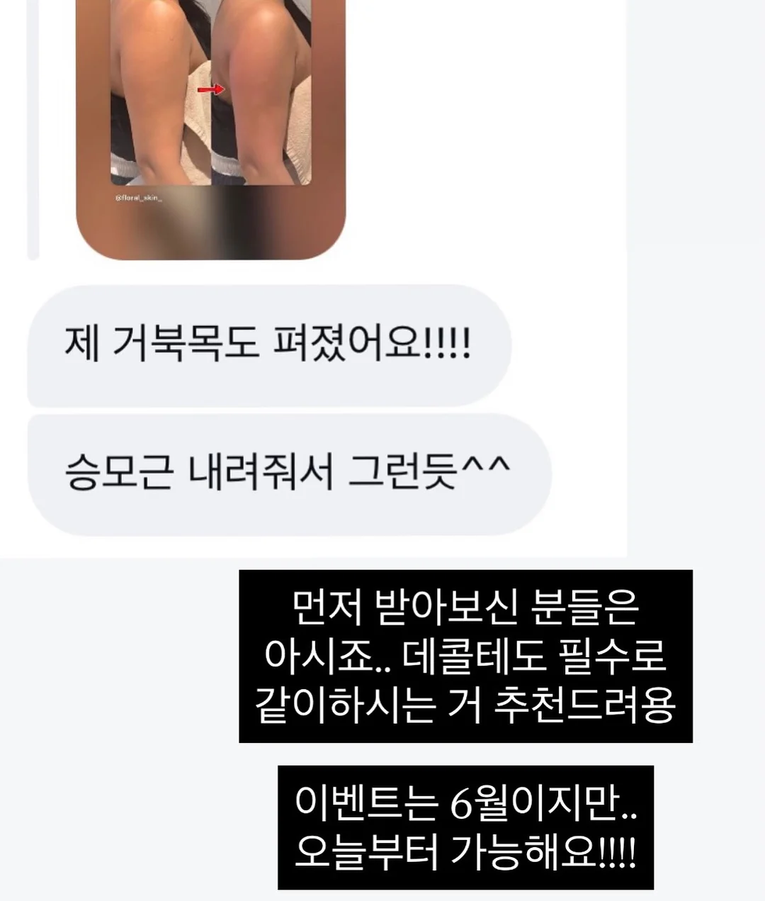 완숙 찰 토마토 9