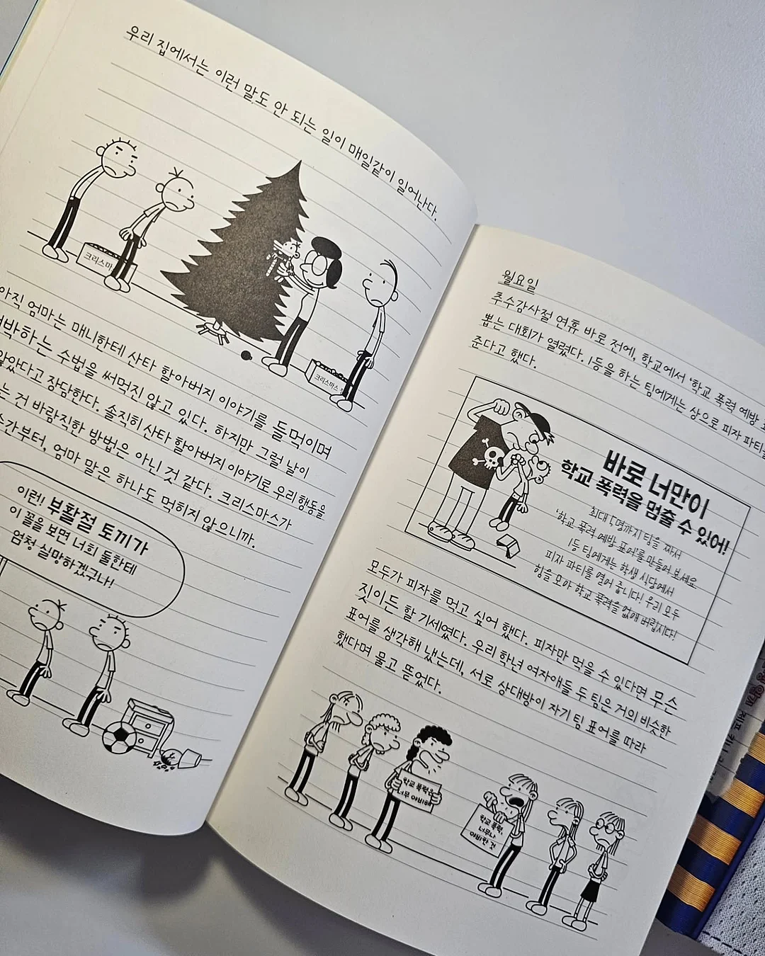 식단 가이드 5