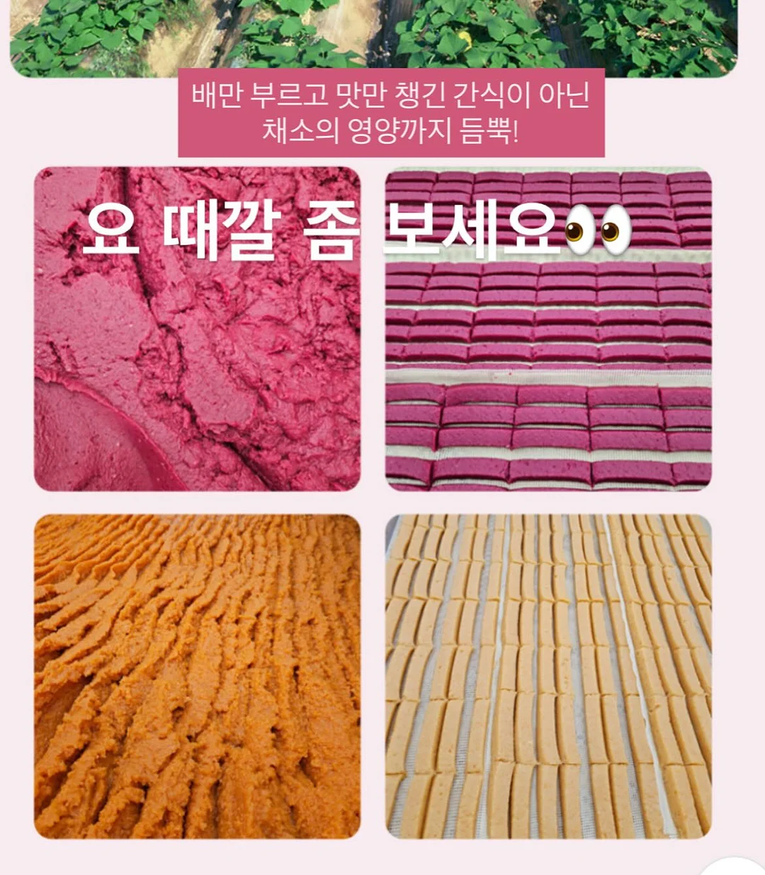 디즈니 비치 타올 9