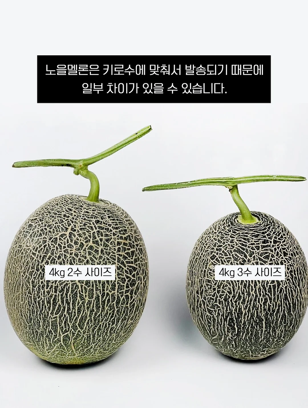 티알미 다이어트 제품 5