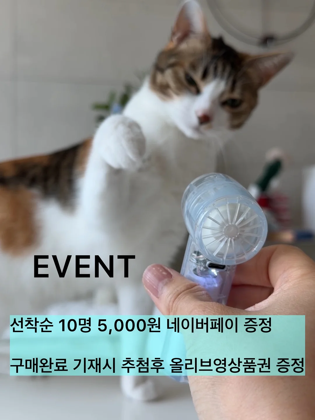 셀프 네일 스티커 3