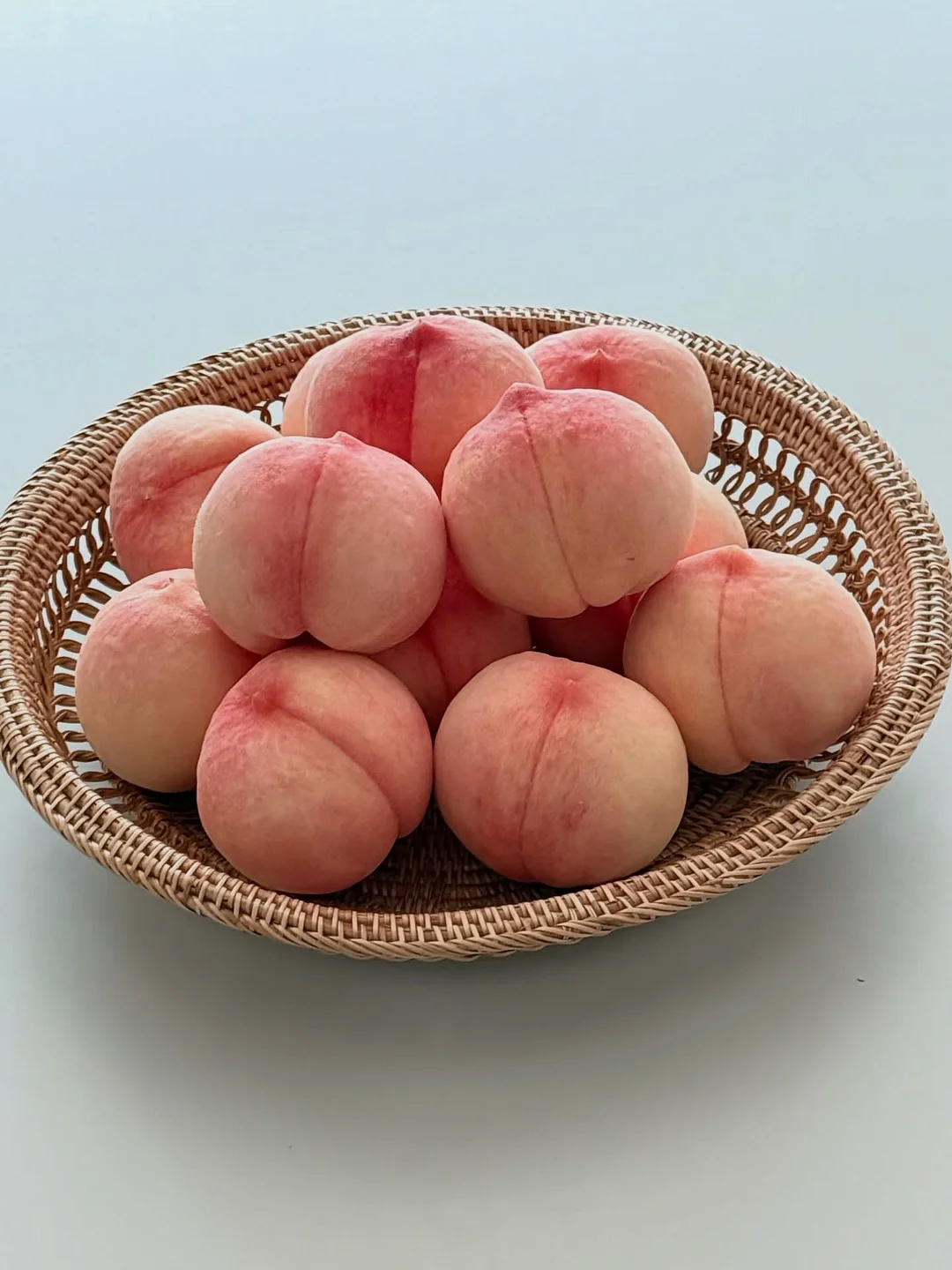소세지축제 1