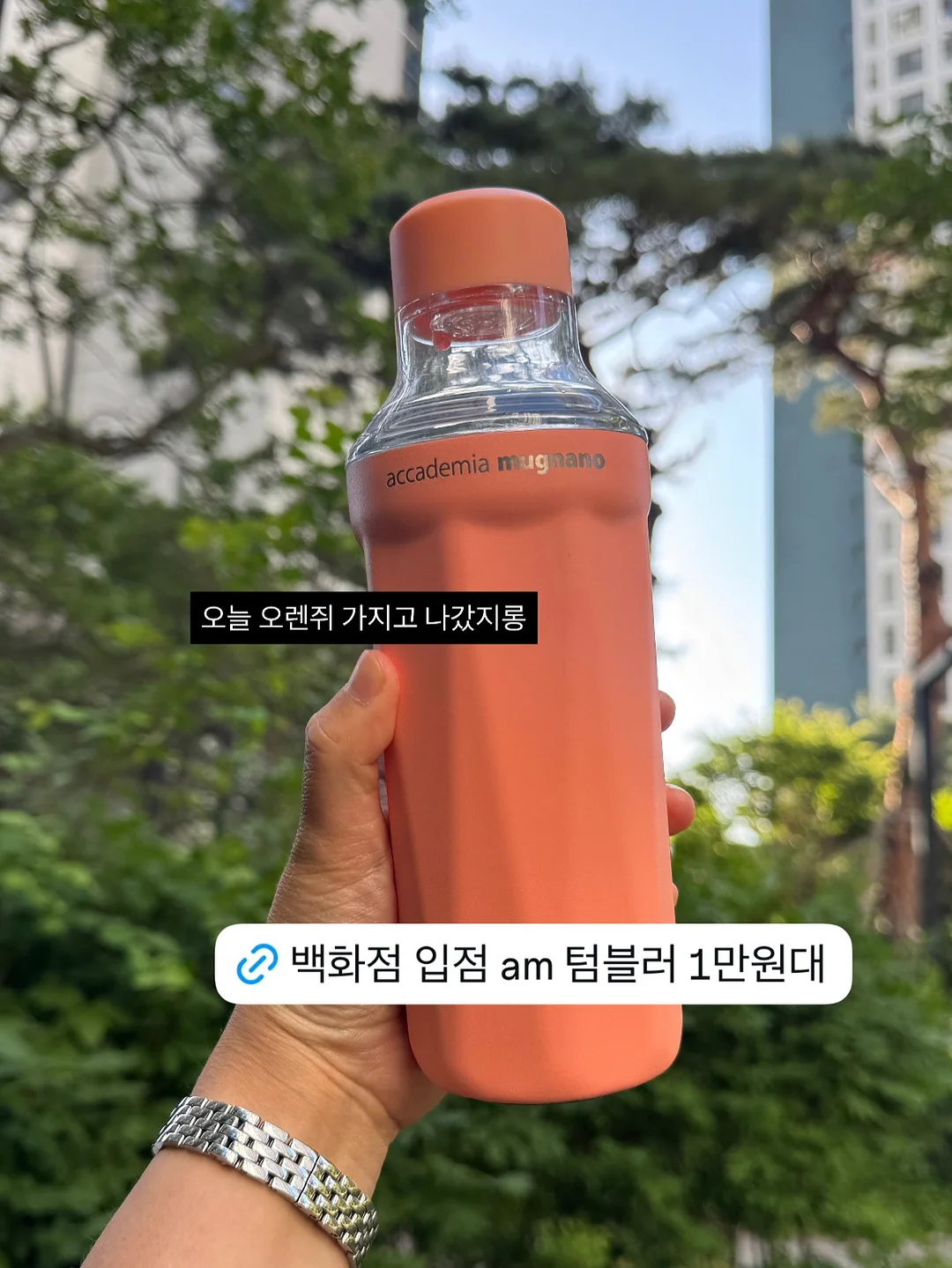Mimi Lapin 아기토끼 케이크 5
