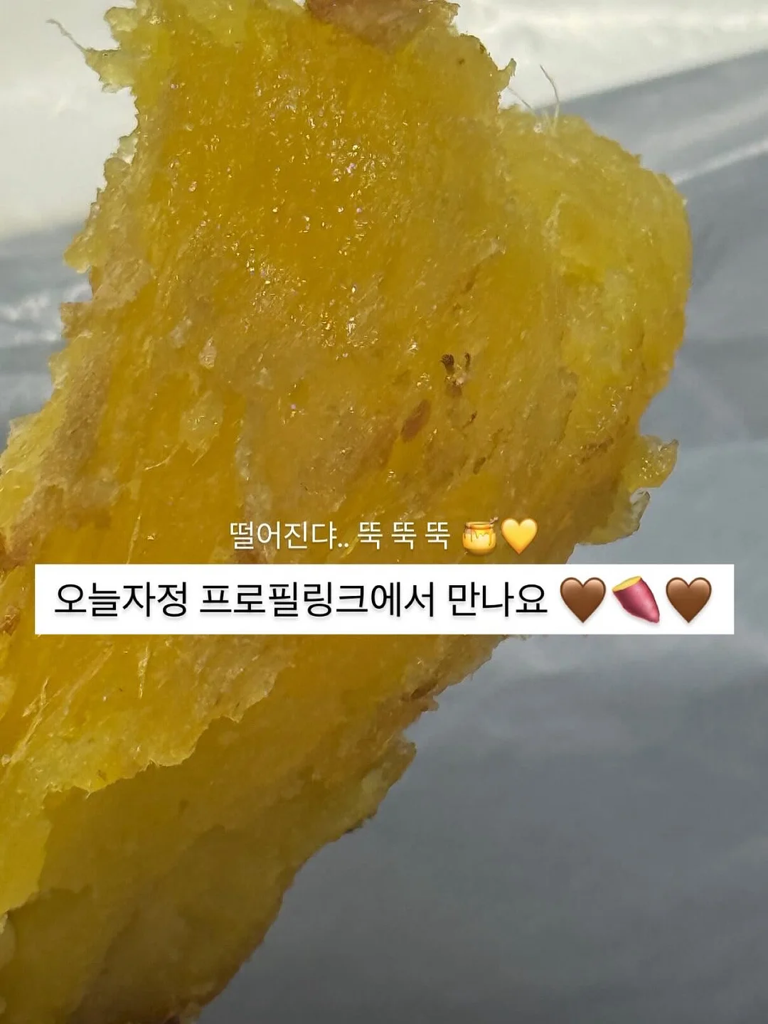 공룡 대발이 사회동화 전집 56권 1