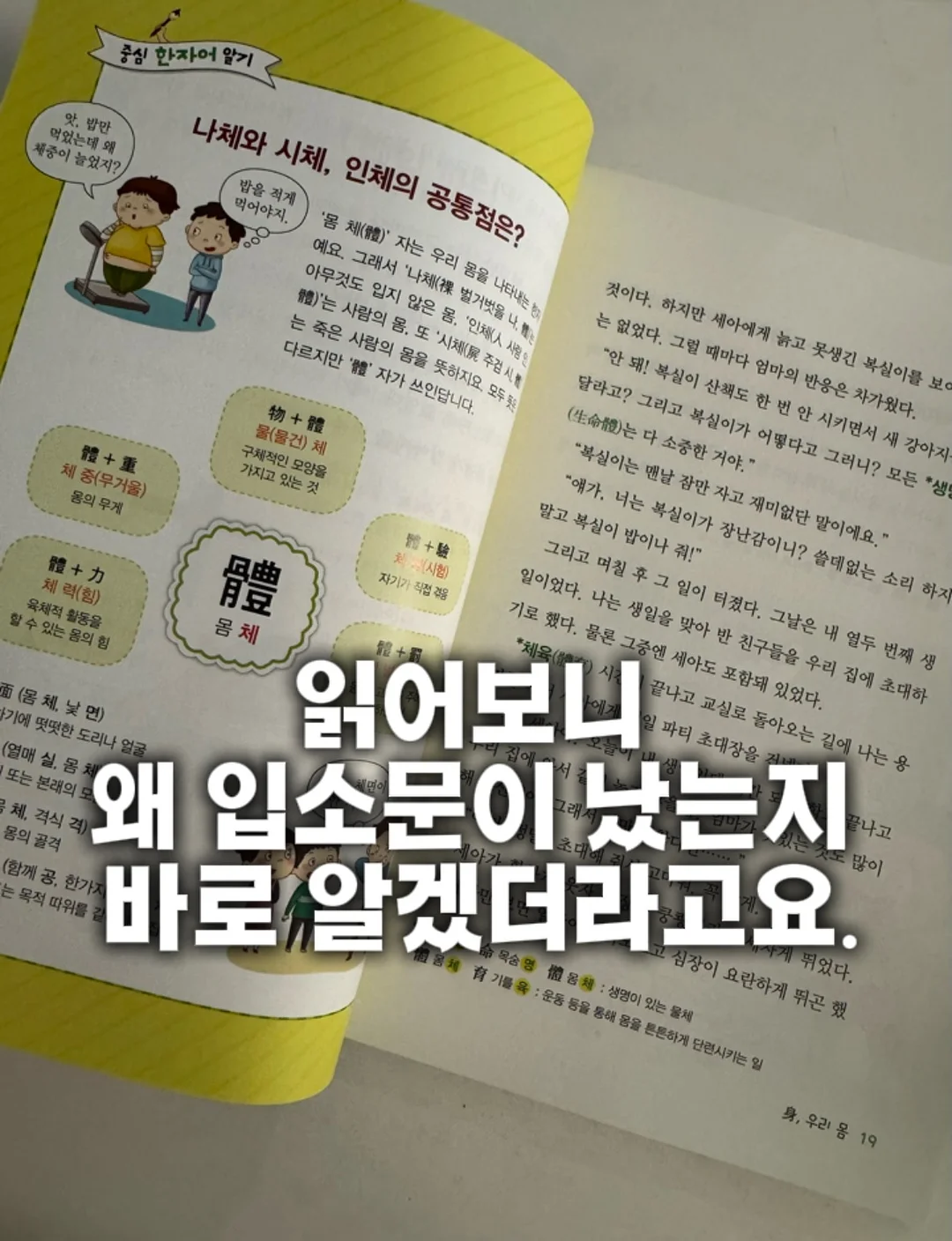 트리 1