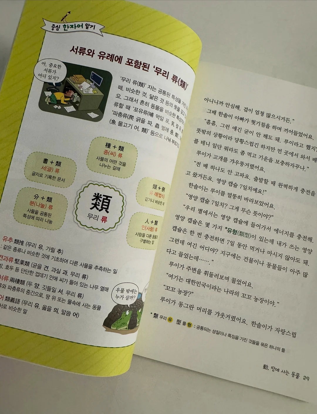 트리 11
