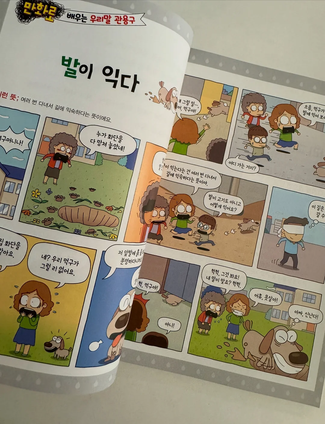 트리 13