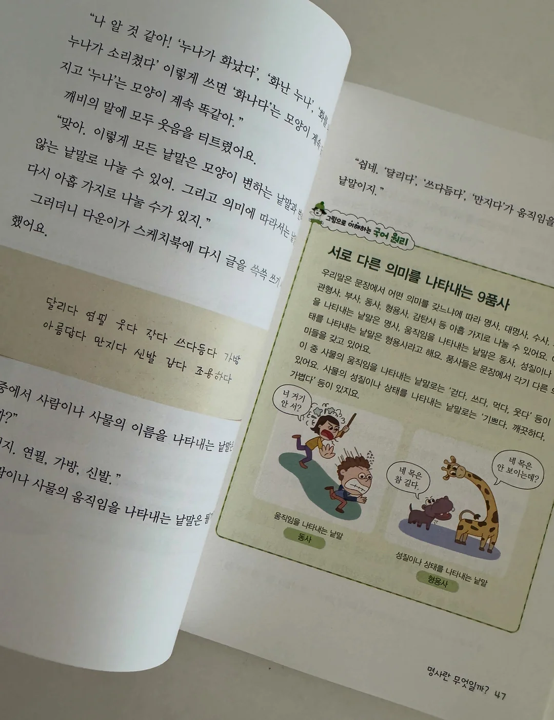 트리 5