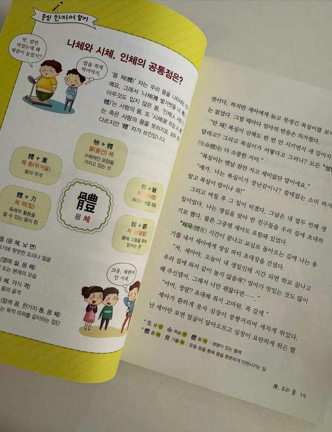 트리 10