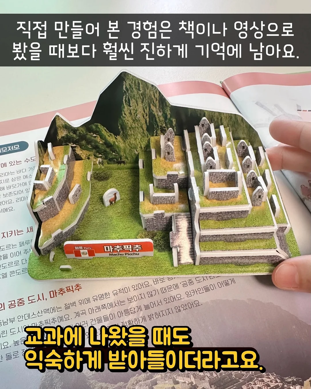 벨로아 나팔바지 B품 6