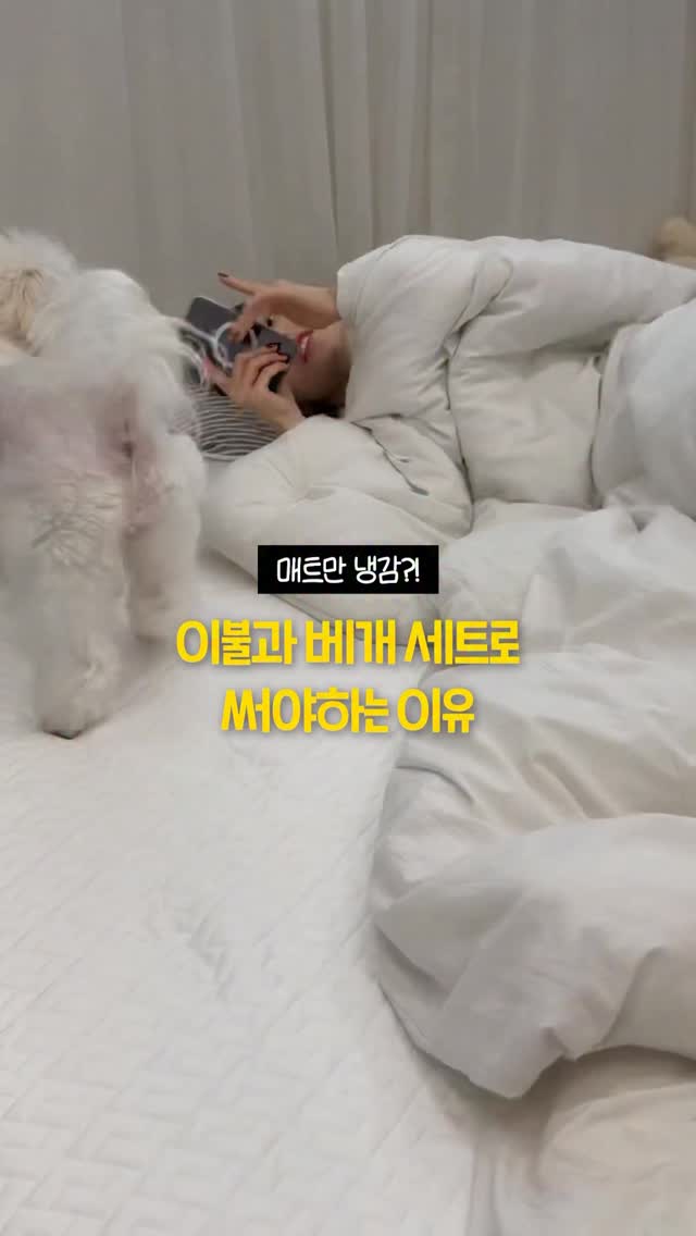 셀렙샵 에디션 26SS 포인텔 가디건 트리플 세트
