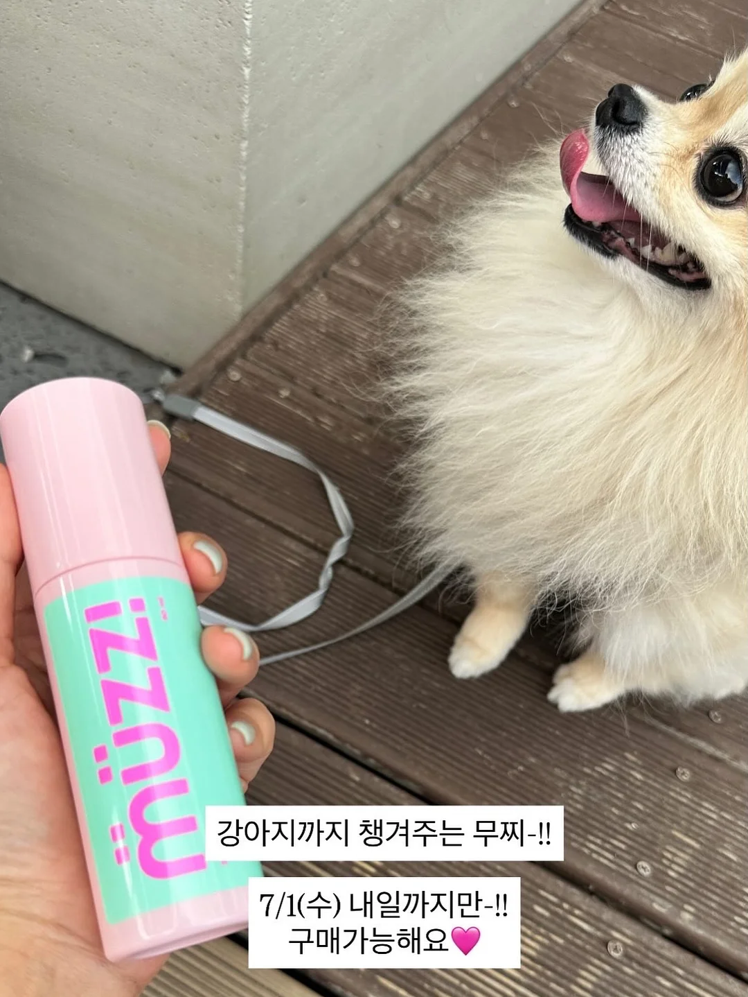 LX지인 벽지 디아망, 베스트 8