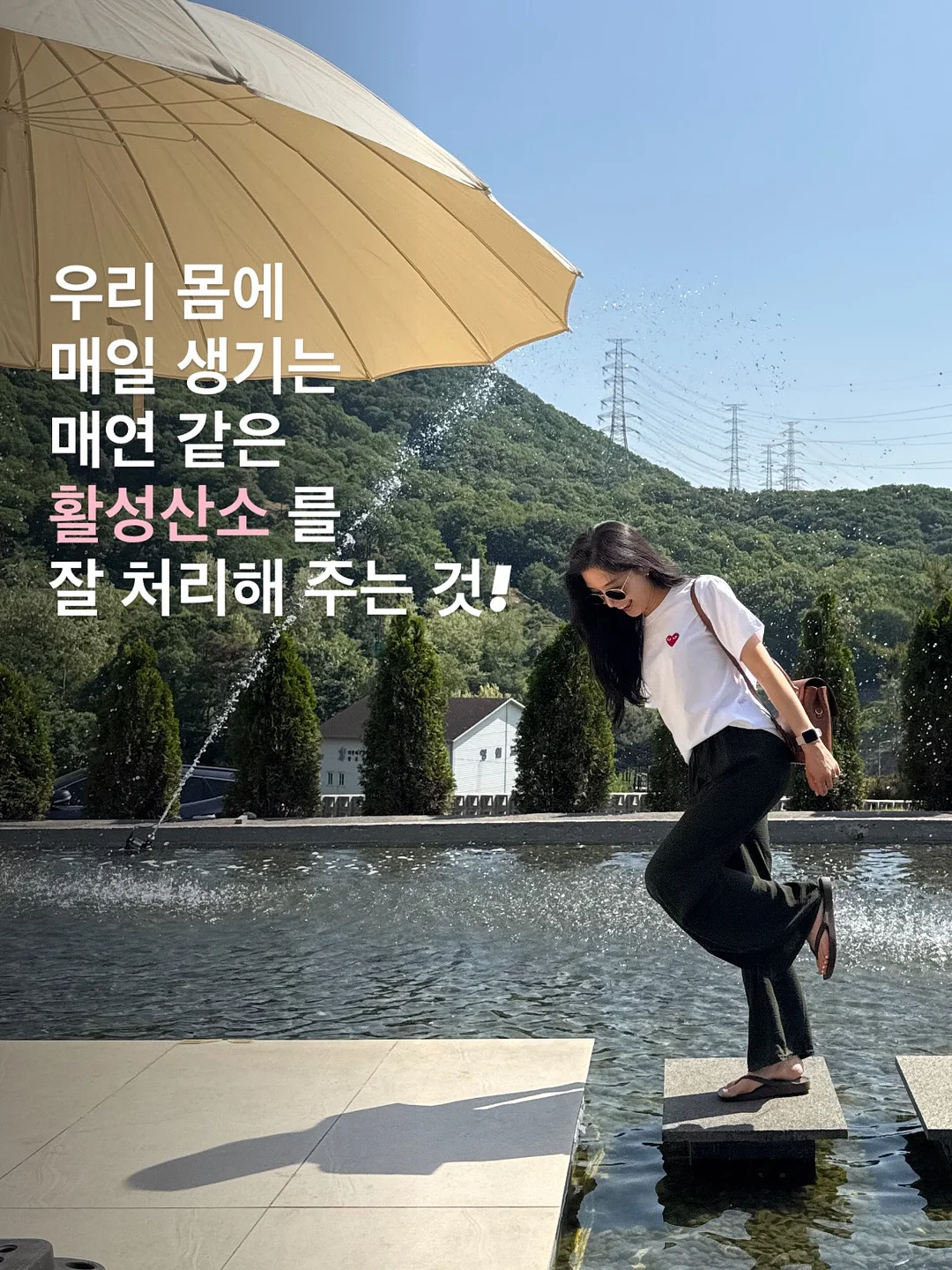 샘표 장아찌 간장 2