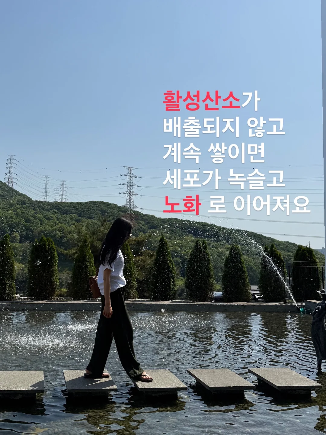 샘표 장아찌 간장 4