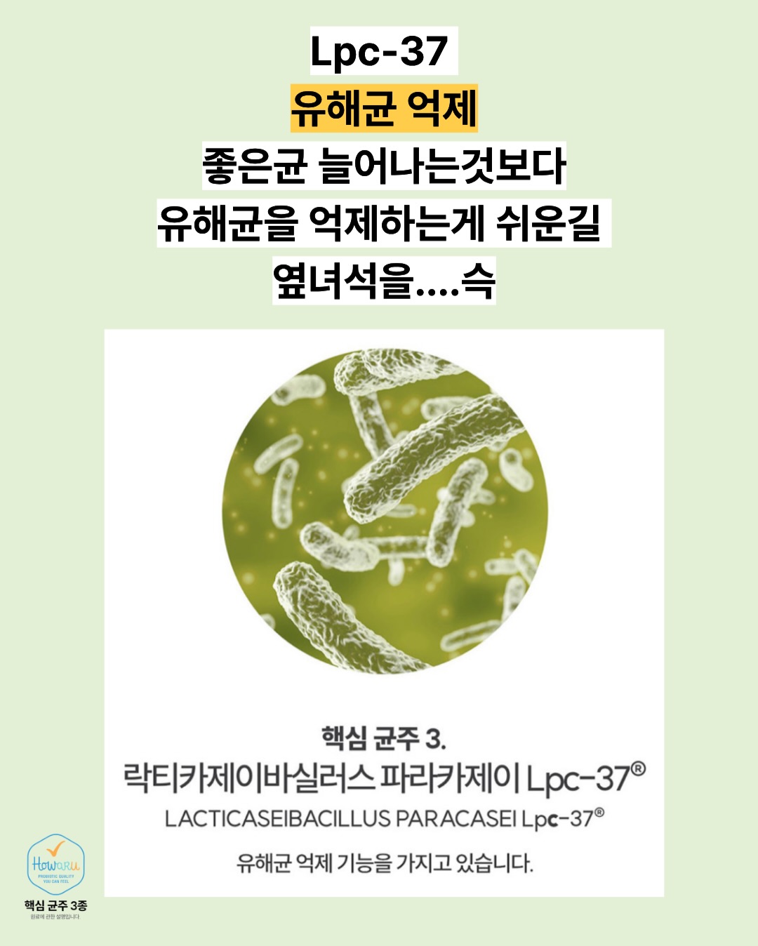 MBC 공채 대비반 6
