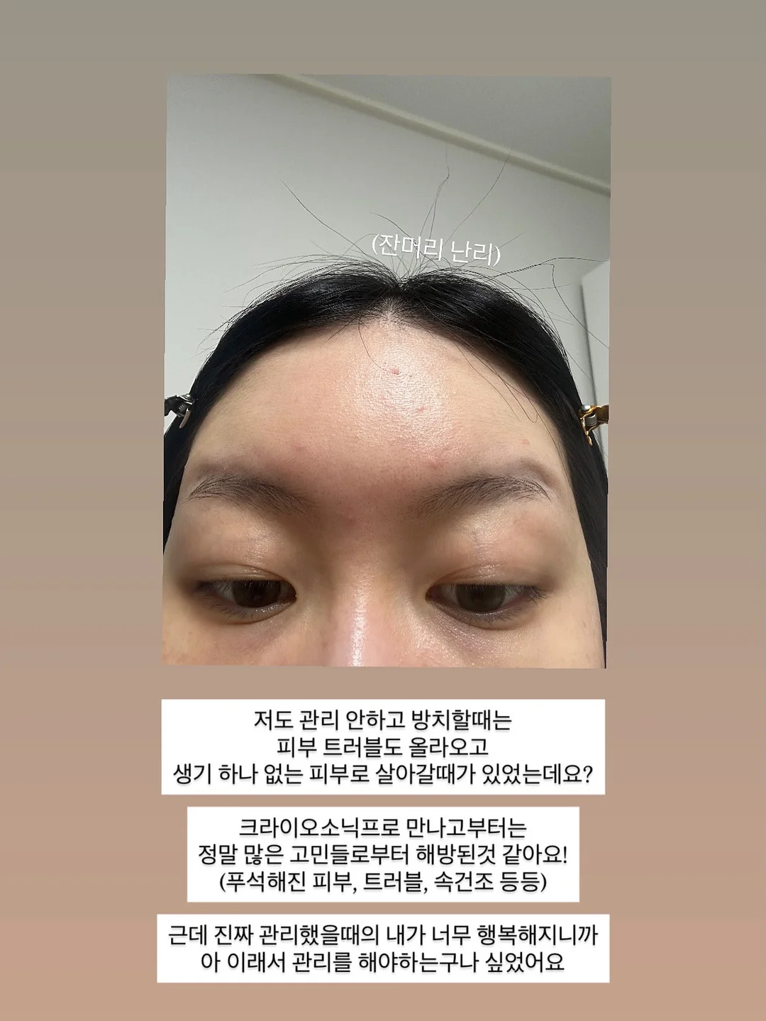 하얀풍차 망고단지 케이크 3